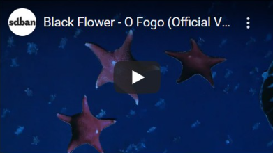 Black Flower - O Fogo